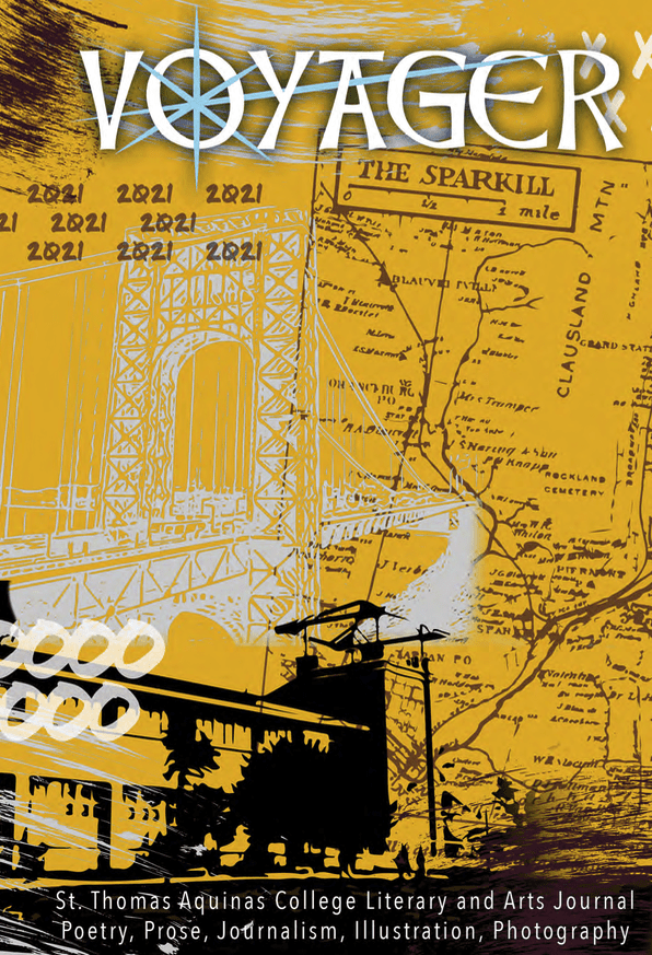 cover of Voyager 2021