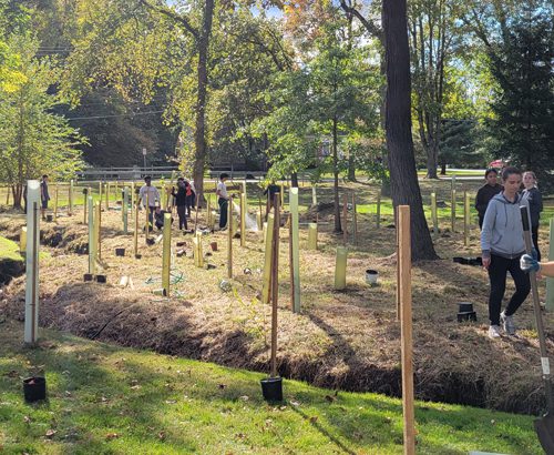 students and community members outside planting trees at Sparkill Creek