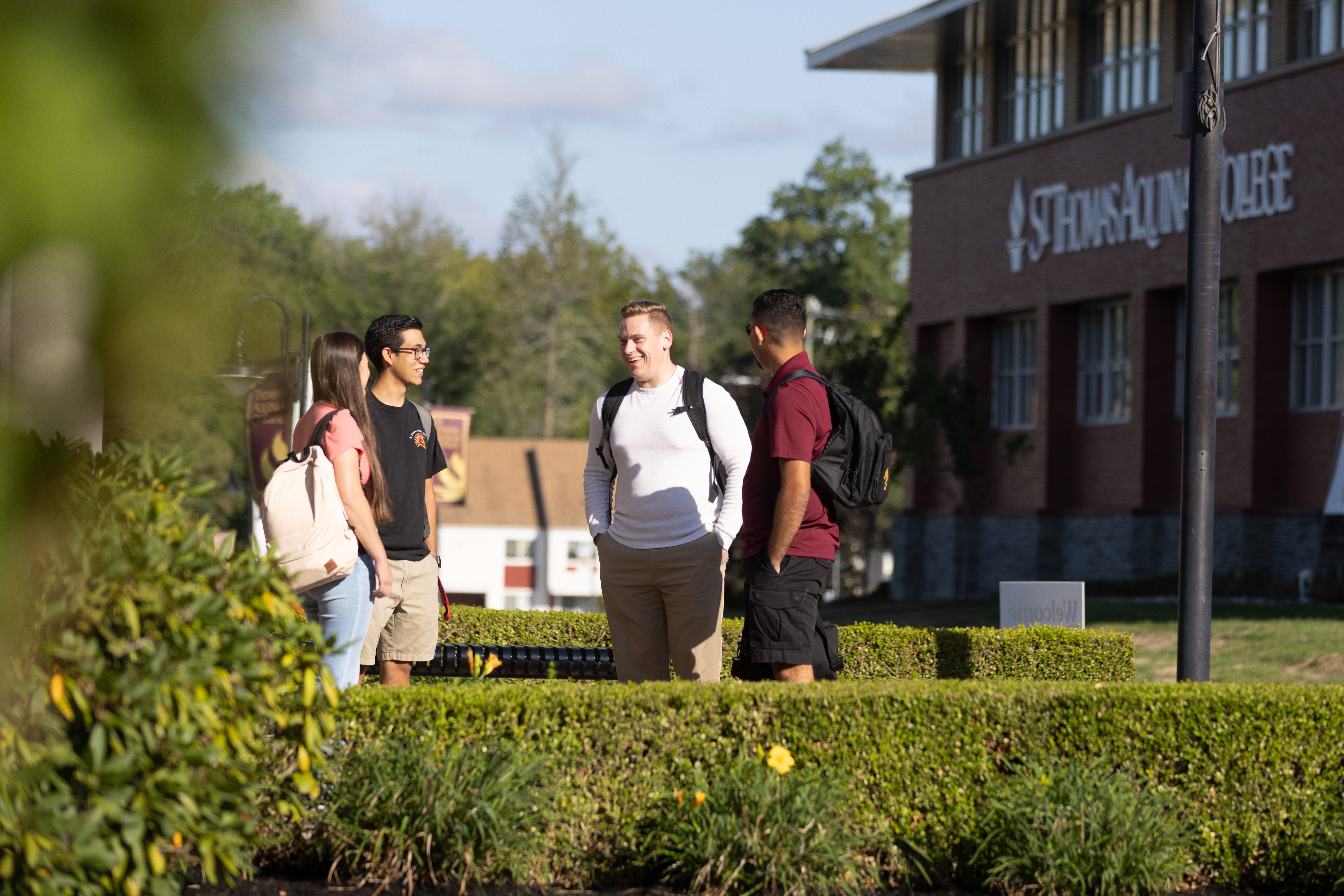 Group of students hanging out on campus