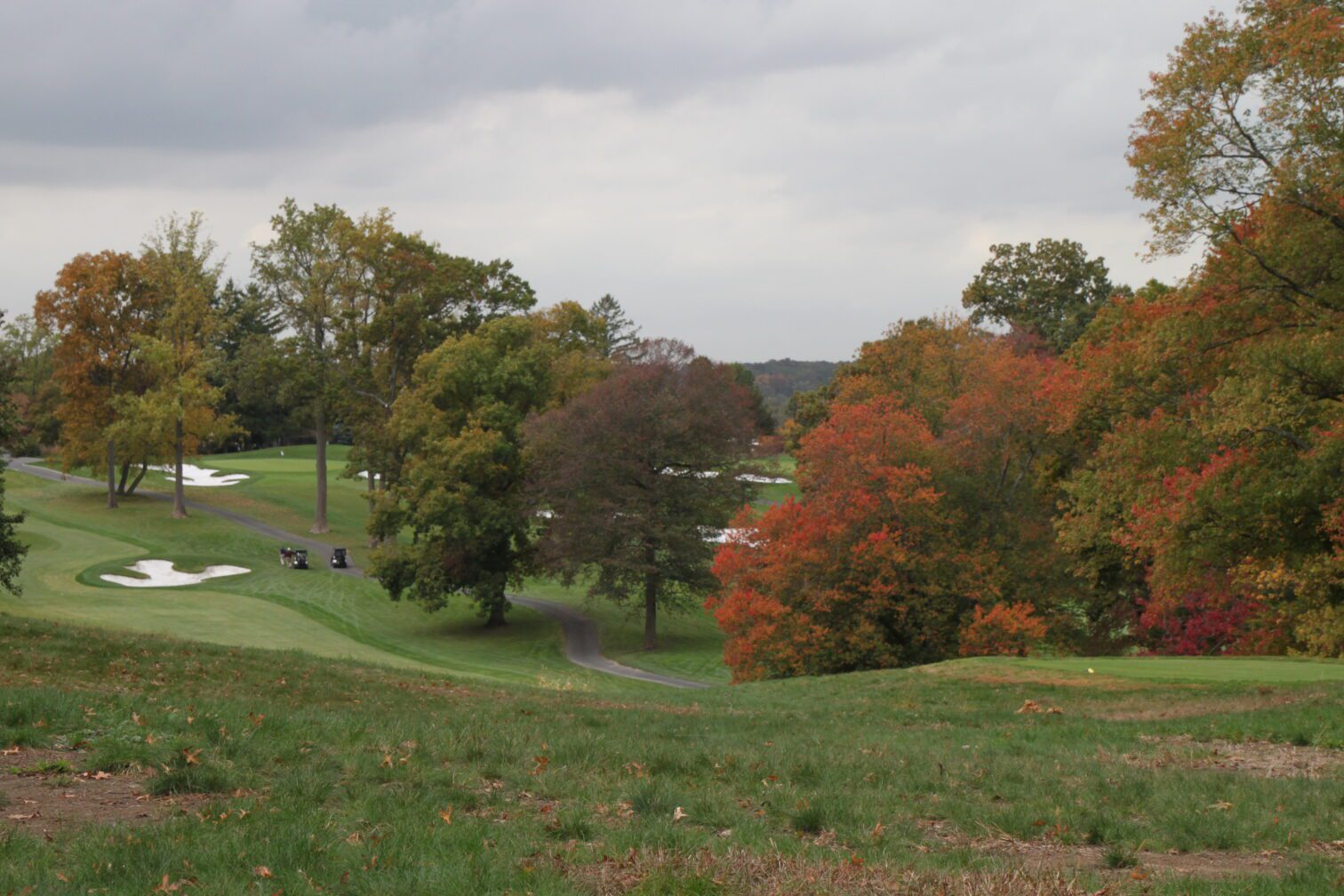 Golf course with trees